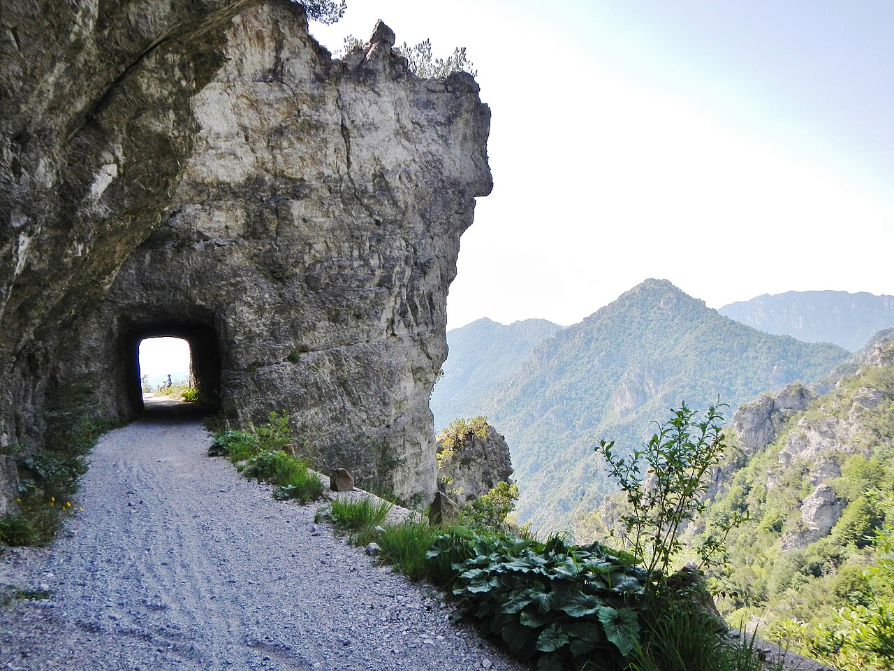 Passo Nota